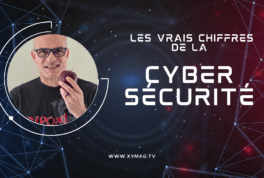 Cyber sécuroté
