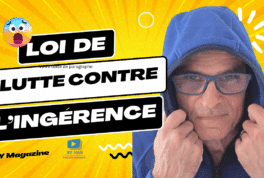 Ingérence