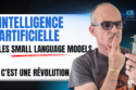les small language models