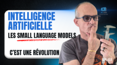 les small language models